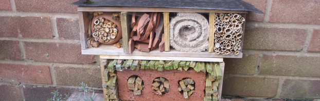 Debbie_Cooke_Creative_Garden_Design_Bug_House_Wildlife_in_the_Winter_Garden