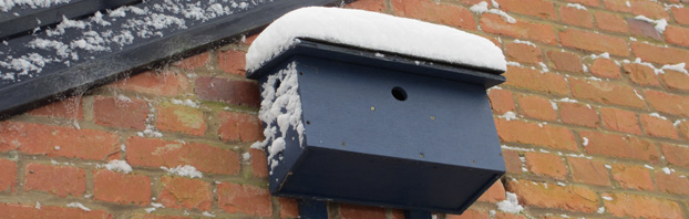 Debbie_Cooke_Creative_Garden_Design_Wildlife_in_the_Winter_Garden_Sparrow_Terrace_Snow