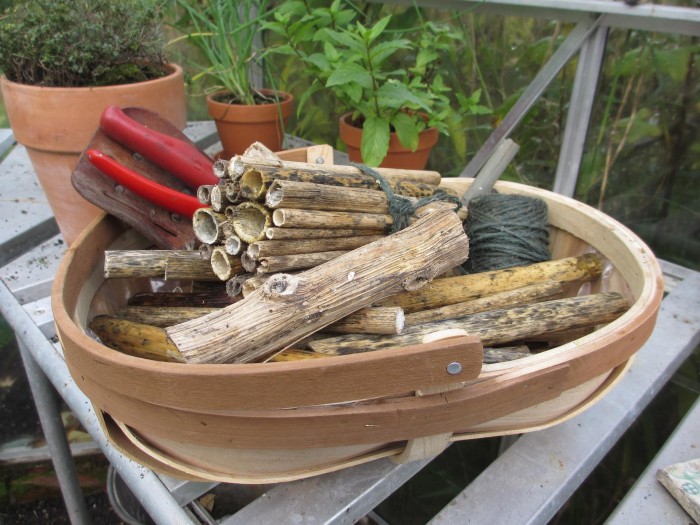 Cut_Stems_Bug_House_in_Trug_Debbie_Cooke_New_Beginnings