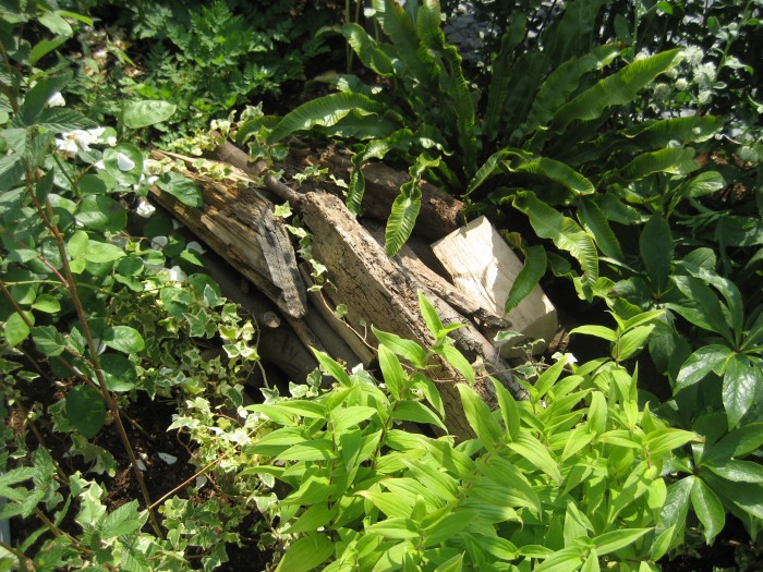 Wood_pile_Debbie_Cooke_New_Bebinnings