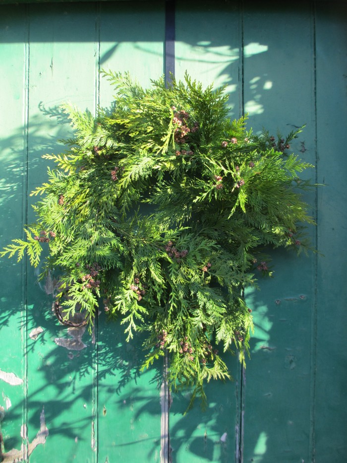 Christmas_Bird_Feeder_Wreath_Conifer_Base_DebbieCooke.com