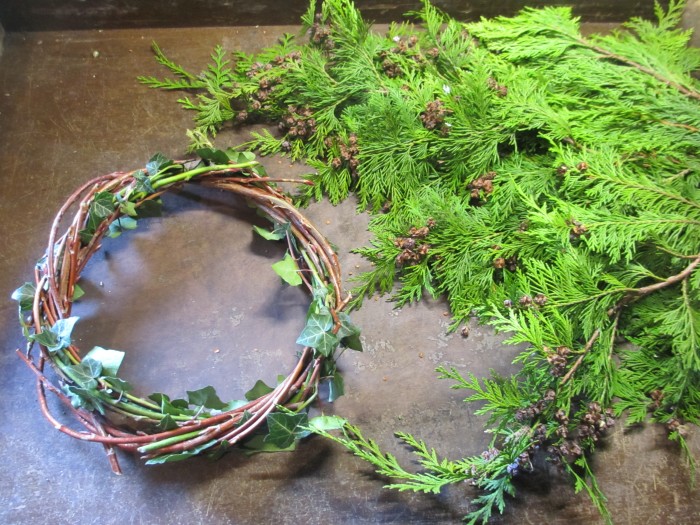 Christmas_Bird_Feeder_Wreath_Ring_and_Conifer_Debbie_Cooke