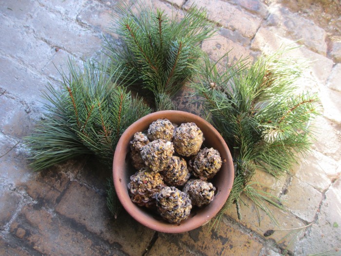 Christmas_Bird_Wreath_Cones_and_Conifers_Debbie_Cooke