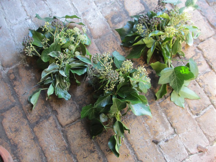 Christmas_Bird_Wreath_Ivy_Bunches_Debbie_Cooke