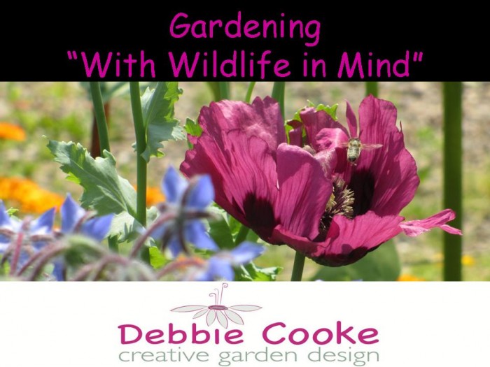 Gardening_With_Wildlife_in_Mind_Garden_Speaker_DebbieCooke.com